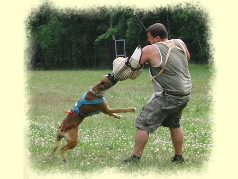20090620 007.jpg