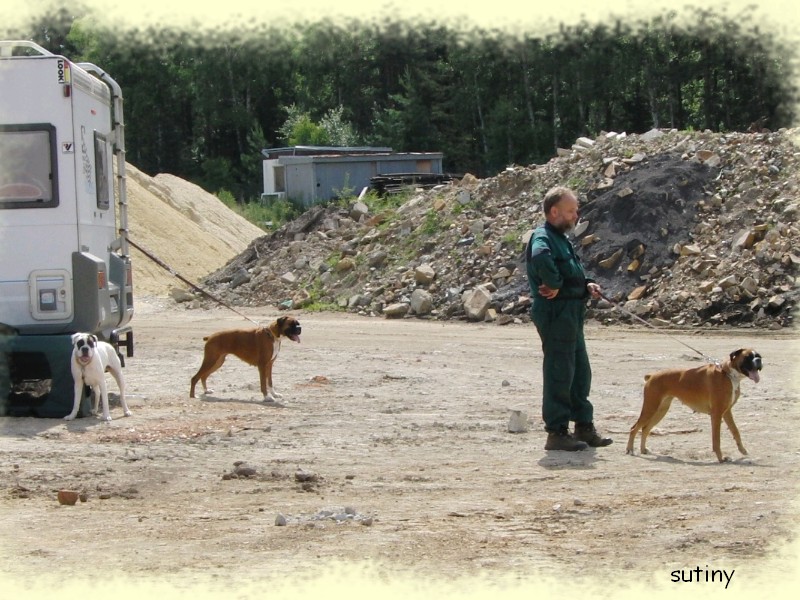 20090621 Bara web sutiny 01.jpg