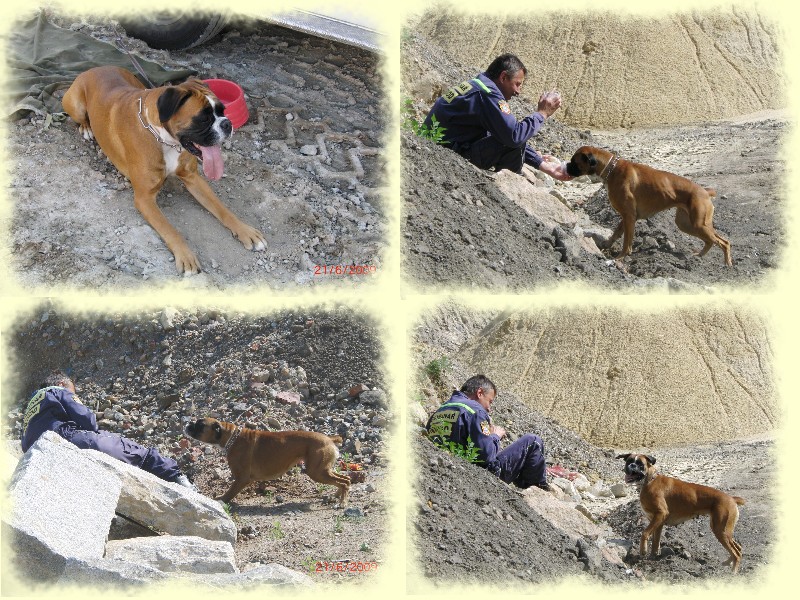 20090621 Bara web sutiny 02.jpg