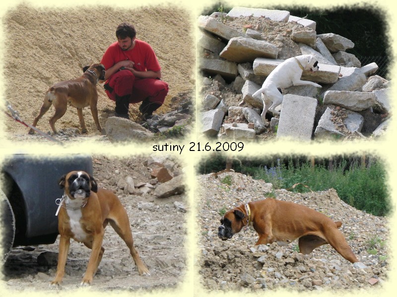 20090621 Bara web sutiny 03.jpg